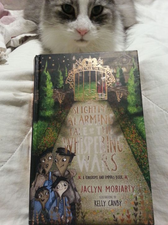 Harry looking at the cover of The Slightly Alarming Tale of the Whispering Wars.