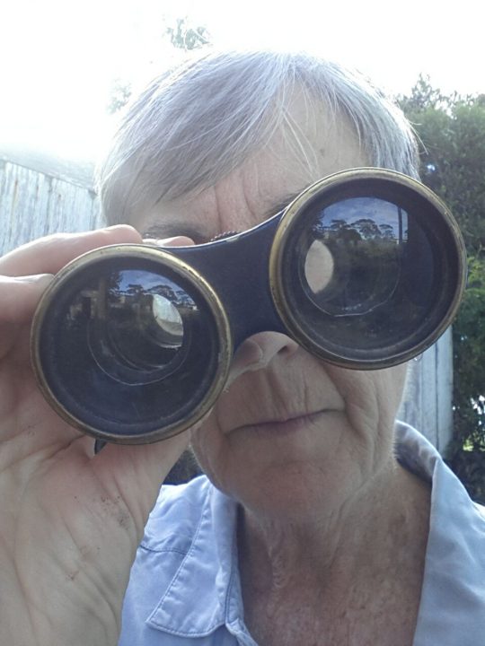 The author looking through binoculars.