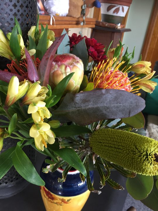 Native Australian flowers in vase